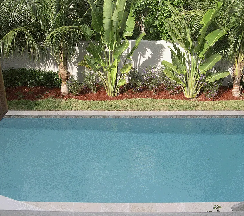 Rectangular pool against a planted garden wall