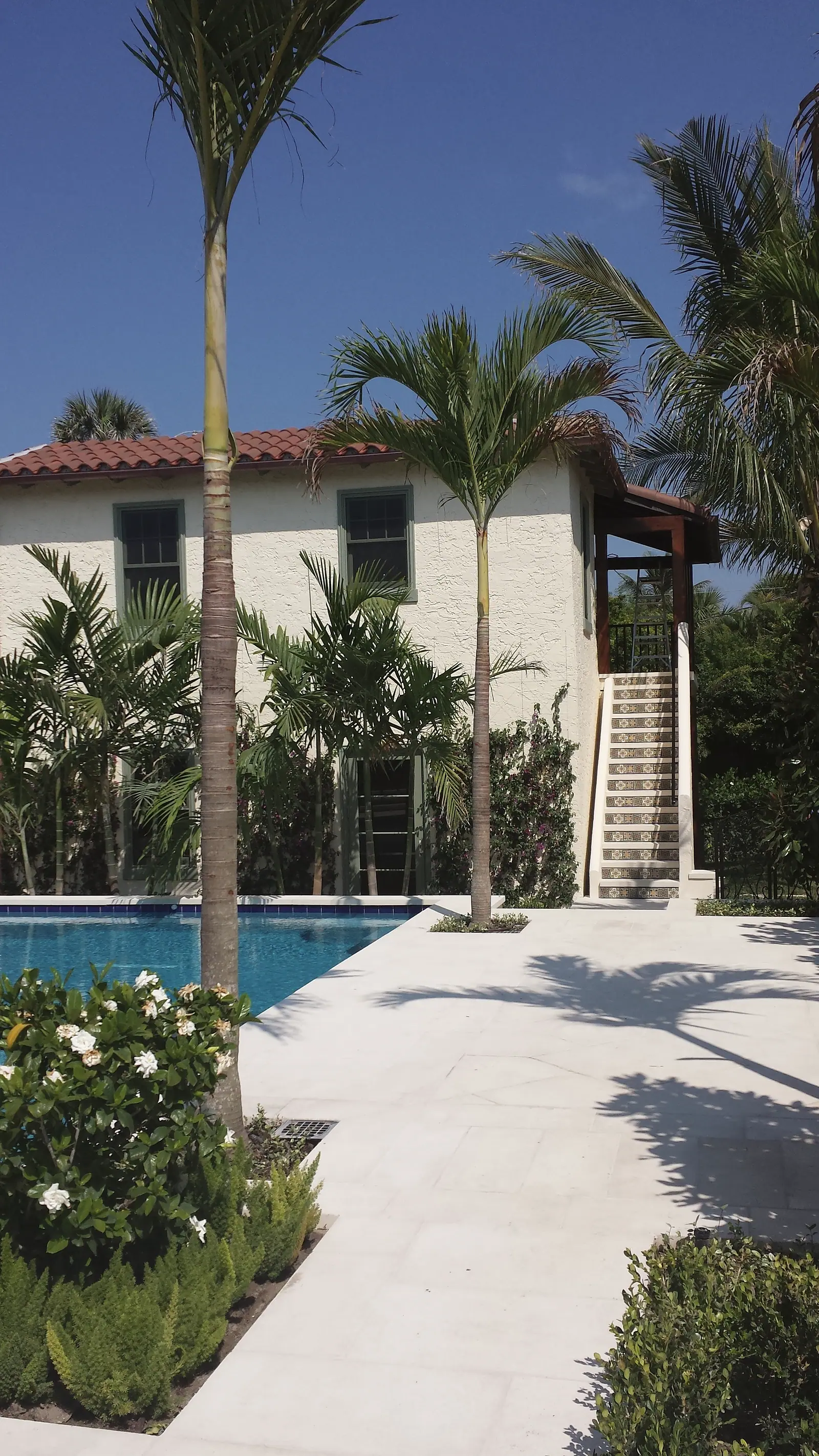 Pool with limestone deck beside a two-story white stucco building with red barrel tile roof, palms and a stair with decorative tile risers