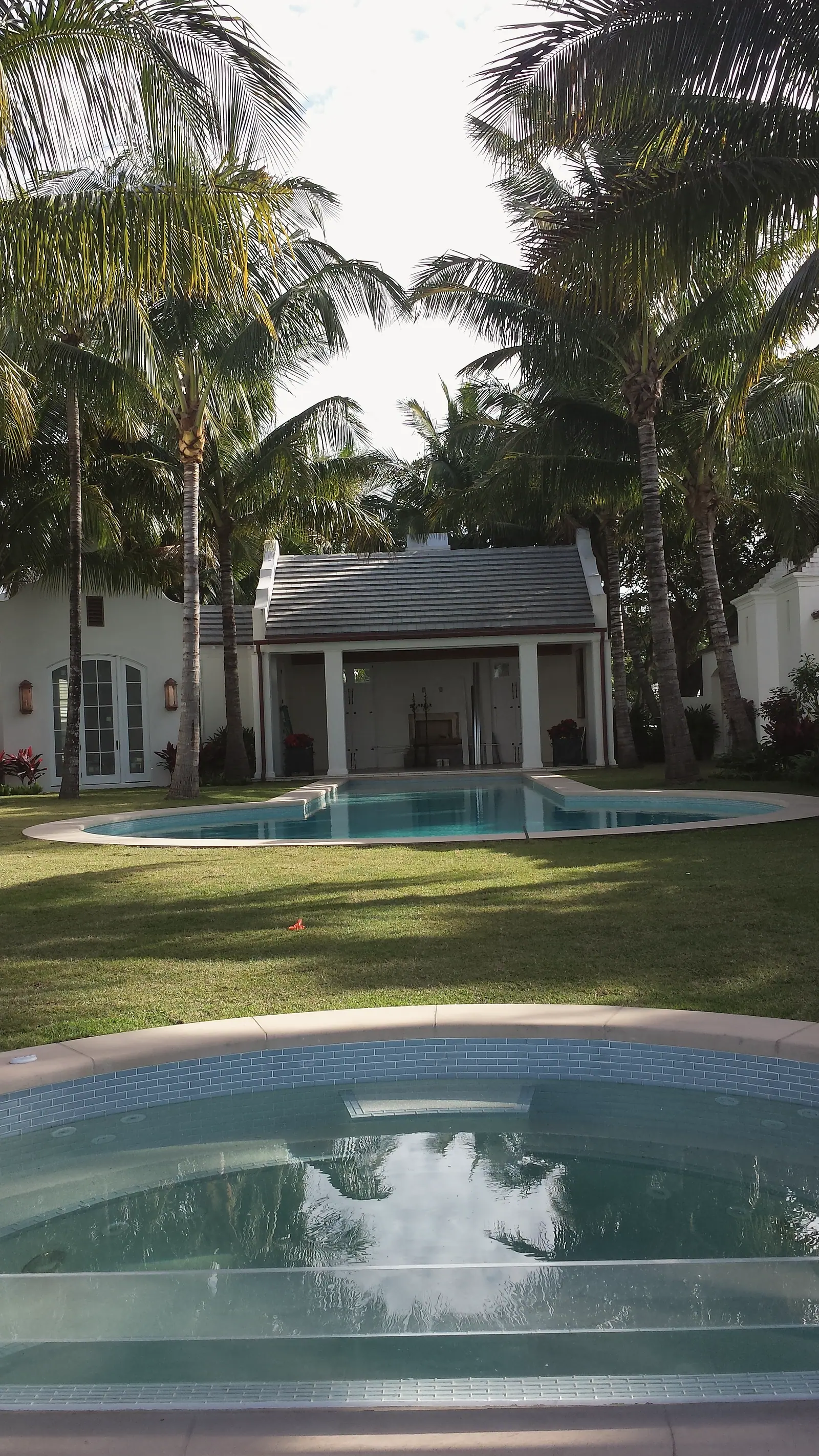 Curved swimming pool in front of an open columned pool pavilion under coconut palms, with a tiled spa in the foreground
